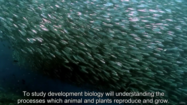 Animalist - zoology of animal 2 – Screenshot 2