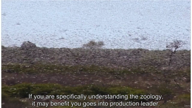 Animalist - zoology of animal 2 – Screenshot 3