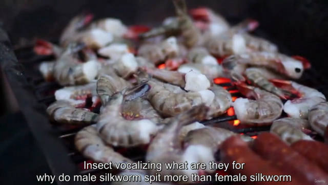 Animalist - zoology of animal 2 – Screenshot 4
