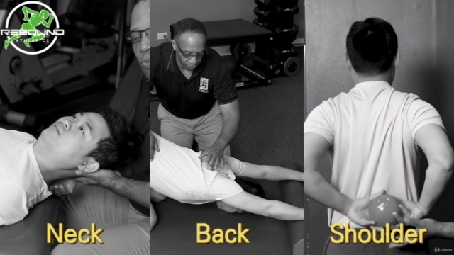 Head Forward Posture and Neck Pain – Screenshot 2