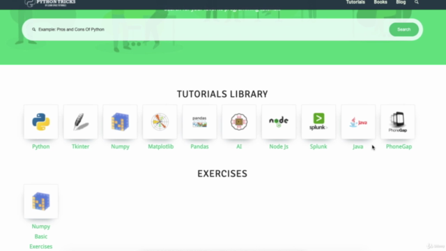 Learn HTML5 and CSS3 and Build a Professional Website – Screenshot 2