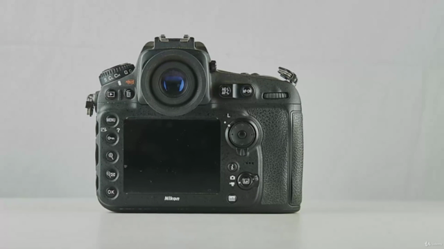 Nikon D810 – Screenshot 1