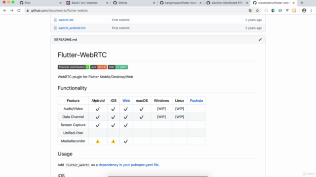 Flutter-WebRTC基础教程 – Screenshot 1