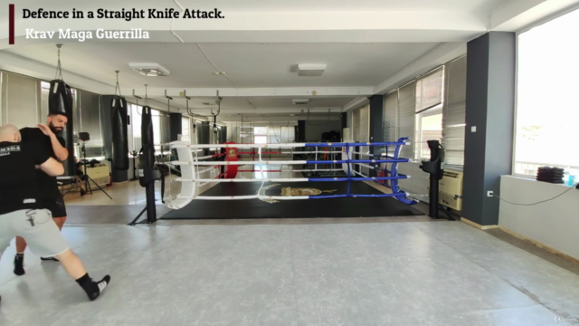 Krav Maga The Complete Knife and Stick Certification Course. – Screenshot 1