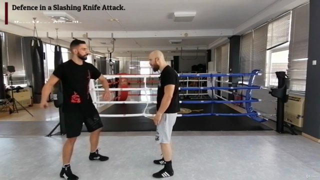 Krav Maga The Complete Knife and Stick Certification Course. – Screenshot 3