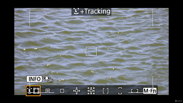 Canon R5/R6 Crash Course Training Tutorial – Screenshot 3