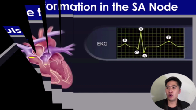 Basic ECG Analysis: Identification Made Simple and Easy – Screenshot 1