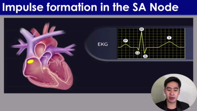 Basic ECG Analysis: Identification Made Simple and Easy – Screenshot 2