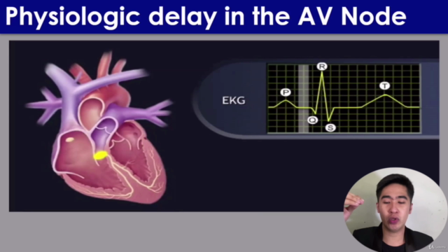 Basic ECG Analysis: Identification Made Simple and Easy – Screenshot 4