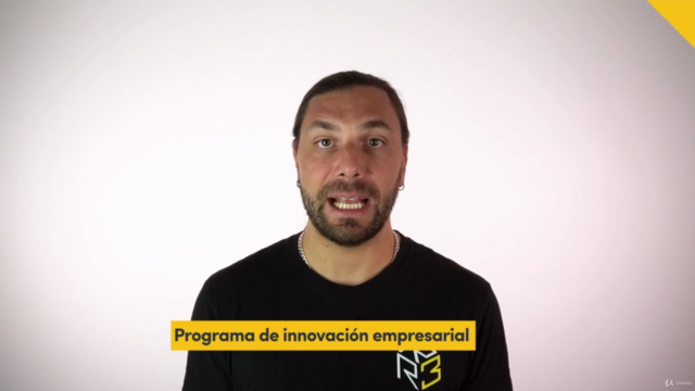 Programa de Innovación Empresarial – Screenshot 2