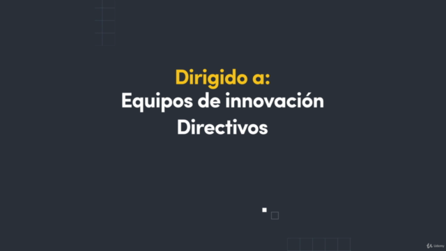 Programa de Innovación Empresarial – Screenshot 3