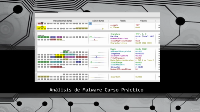 Análisis de Malware Curso Práctico - Screenshot_01