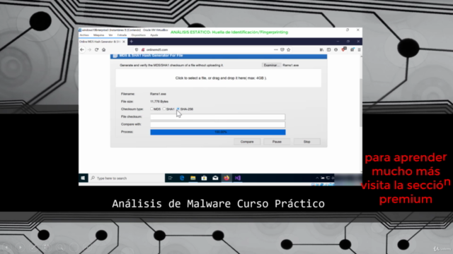 Análisis de Malware Curso Práctico - Screenshot_02