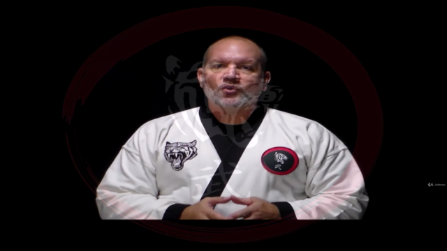 Karate: Tang Soo Do Advanced Techniques and Forms – Screenshot 2
