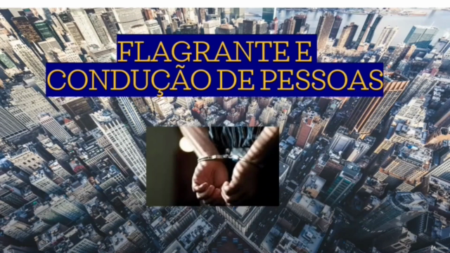 Expertise em Segurança Privada – Screenshot 3