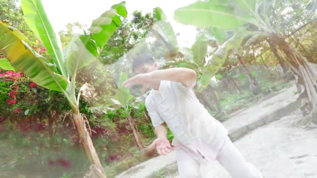 Beginners Tai Chi To Reduce Stress, Anxiety and Relaxation – Screenshot 2