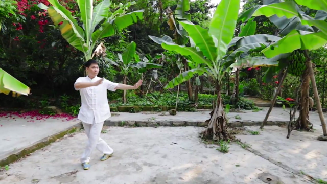 Beginners Tai Chi To Reduce Stress, Anxiety and Relaxation – Screenshot 3