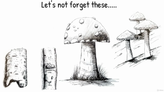 Drawing Nature - Autumn Edition – Screenshot 4