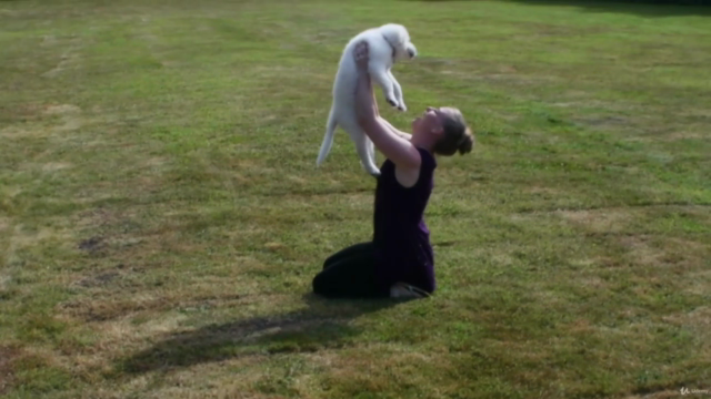 Puppy Massage – Screenshot 1