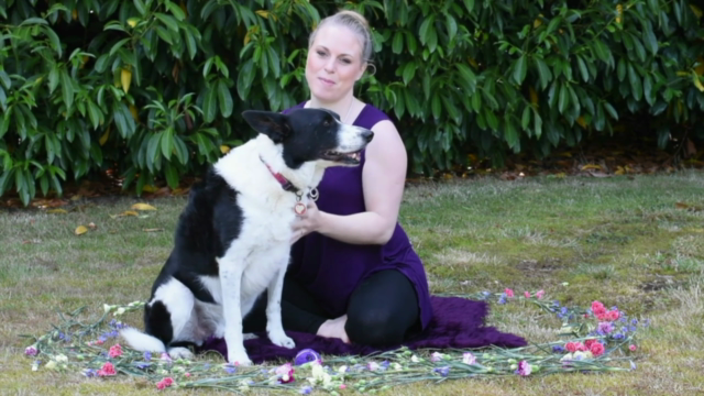 Puppy Massage – Screenshot 4