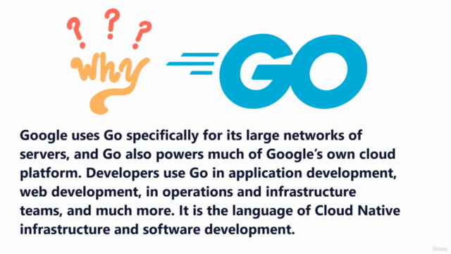 Go (Golang) The Complete Guide – Screenshot 2