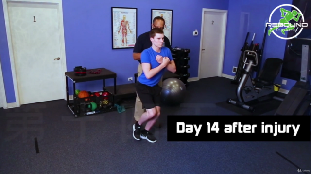 Rehabilitation of Ankle Sprains- Beyond the Obvious – Screenshot 4