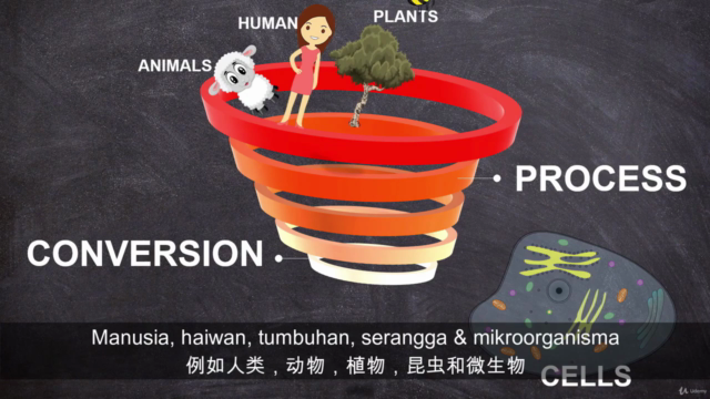 Food Bioprocess Science "Rated 8.8/10 as TOP 20% course" – Screenshot 3