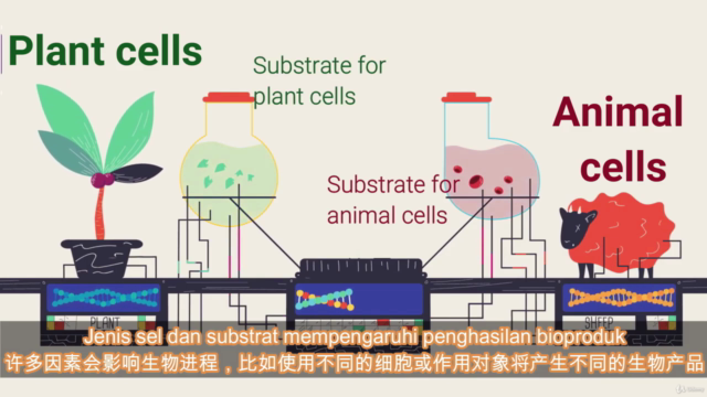 Food Bioprocess Science "Rated 8.8/10 as TOP 20% course" – Screenshot 4