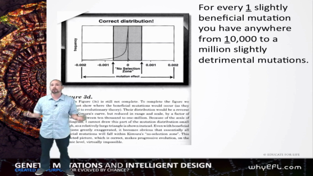 105: Genetic Mutations and Intelligent Design – Screenshot 1