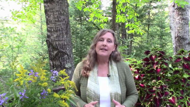 Herbalism :: Flower Essence Certificate – Screenshot 1