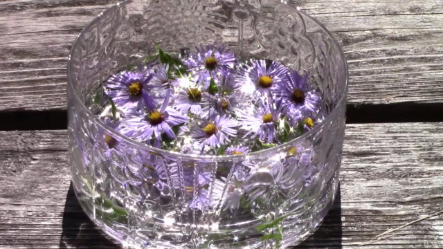 Herbalism :: Flower Essence Certificate – Screenshot 4
