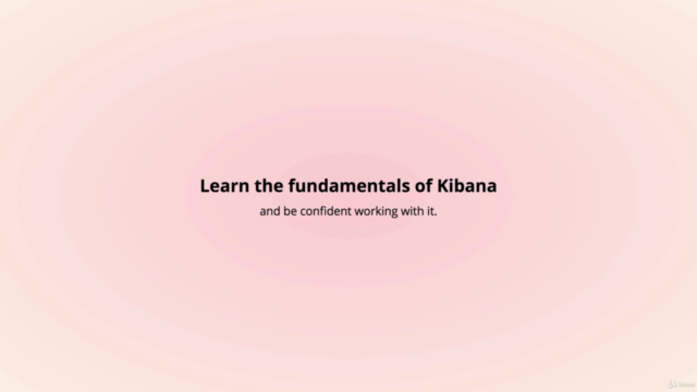 Data Visualization with Kibana – Screenshot 3