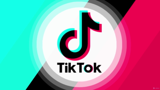 TikTok Marketing: Der TikTok-Guide für Anfänger – Screenshot 4