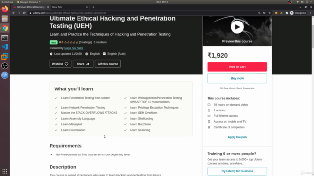 Ultimate Ethical Hacking and Penetration Testing (UEH) – Screenshot 4