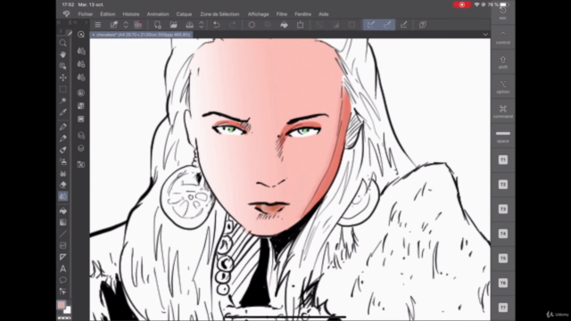 CLIP STUDIO PAINT sur IPAD – Screenshot 2