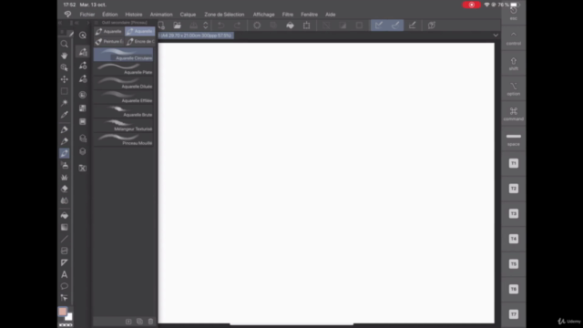 CLIP STUDIO PAINT sur IPAD – Screenshot 3
