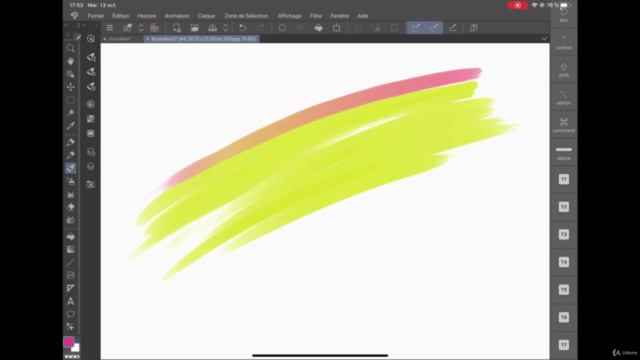 CLIP STUDIO PAINT sur IPAD – Screenshot 4