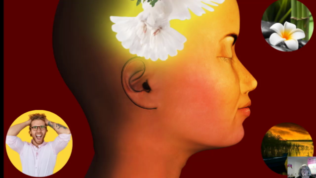 Professional Mindfulness Based Stress Reduction Course – Screenshot 1