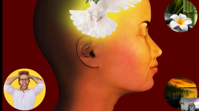 Professional Mindfulness Based Stress Reduction Course – Screenshot 2