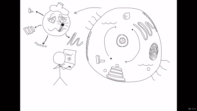 Ciencias y Matematicas Simplificadas – Screenshot 1