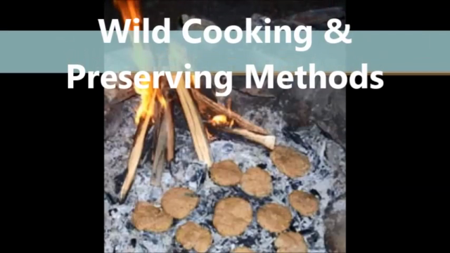 Use Wildfood And Medicine To Increase Your Vitality – Screenshot 2