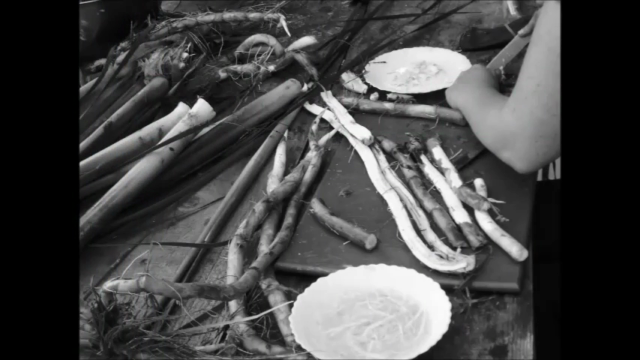 Use Wildfood And Medicine To Increase Your Vitality – Screenshot 3