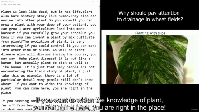 Botanist - Agriculture of plants - Screenshot_04