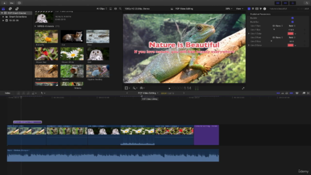 Final Cut Pro X 2024 - Video Editing Crash Course - Screenshot_02