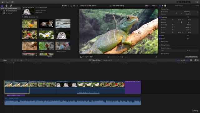 Final Cut Pro X 2024 - Video Editing Crash Course - Screenshot_04