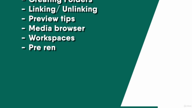 Adobe Premiere Pro 2022 - Beginners Edition – Screenshot 4