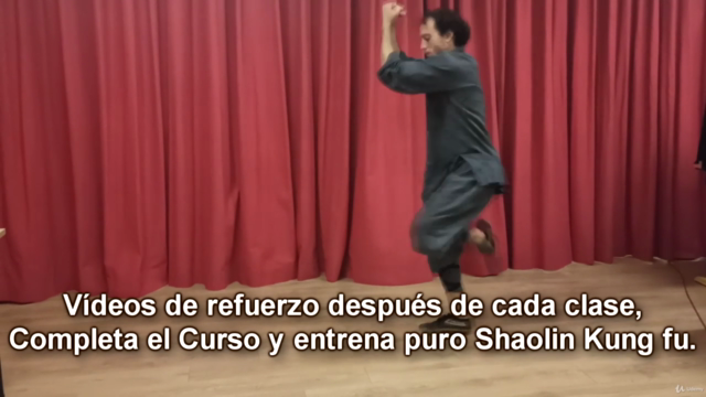 1 Mes Completo de Kung fu Shaolin + Qi Xing Quan (Forma) – Screenshot 2