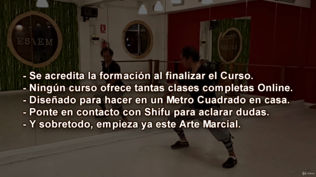 1 Mes Completo de Kung fu Shaolin + Qi Xing Quan (Forma) – Screenshot 4