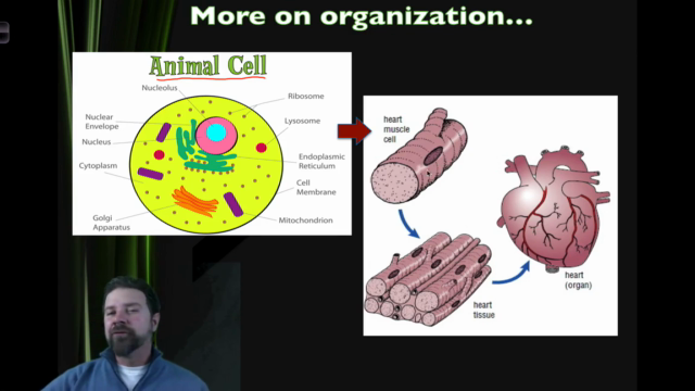 Introductory Biology – Screenshot 3