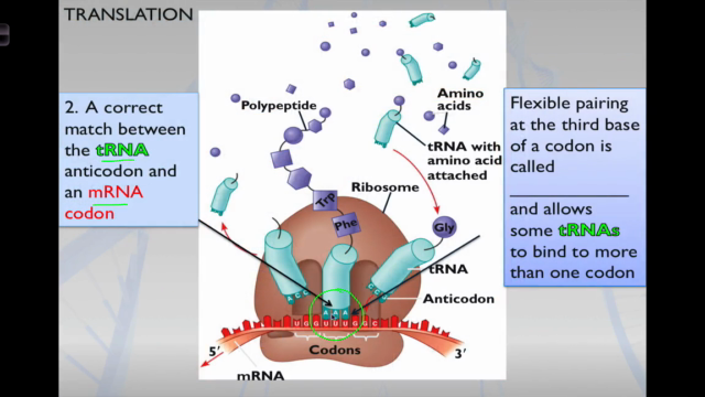 Introductory Biology – Screenshot 4